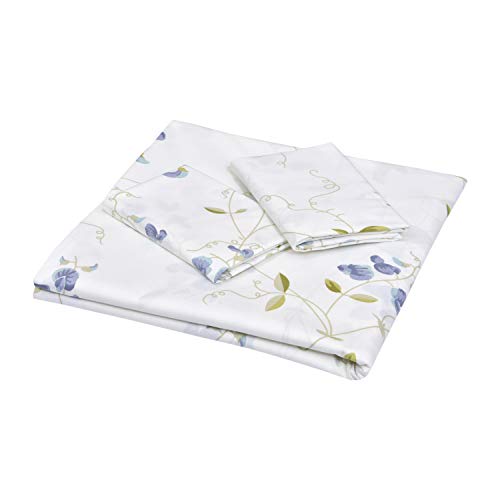 Image of Haus & Kinder 100% Cotton Bed Sheet for King Size Bed, 1 King Size Bedsheet Cotton (108 x 108 Inches) with 2 Pillow Covers | 144 TC Bedsheet for Double Bed King Size | Minimalistic Magic Purple
