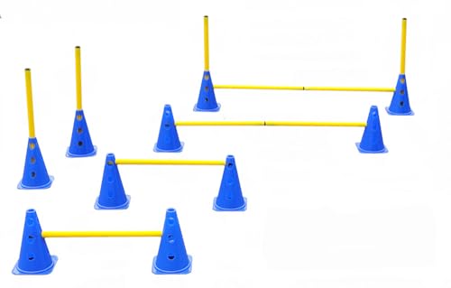 Boje Sport Steckhürdenset - 5 er Set für Koordinationstraining Agility Hundesport Pferdesport Zubehör Lochkegel Fussball Pylone Stangen Lochkegel für Trainingsübungen Trainingszubehör