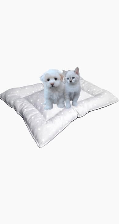 Cuccia per animali domestici, cani, gatti (60 x 50, grigio)