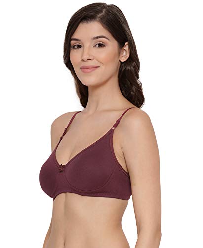 Image of Lyra Women's Cotton Non Padded Wire Free T Shirt Bra