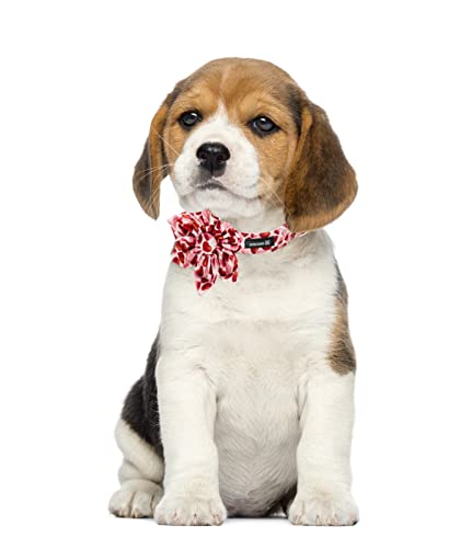 MACA Bates Valentine’s Day Dog Collar with Bow/Flower/Bow tie, Sweet Heart Adjustable Collar for Small Medium Large Dog… - Image 5