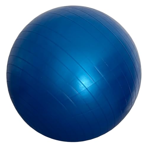Bola de Ginástica Pilates Fisioterapia Pélvica 65cm Azul Liftness Dafoca Sports