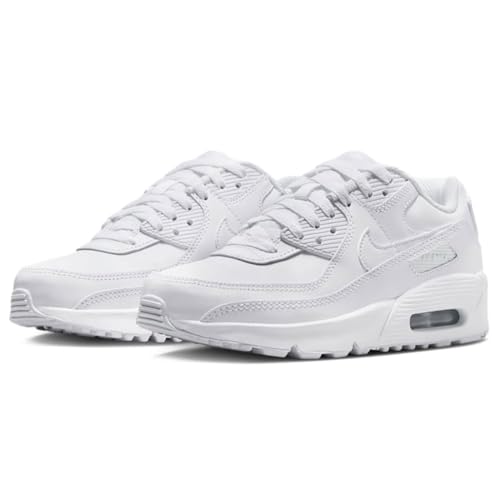 [iCL] GA }bNX 90 LTR J AIR MAX 90 LTR zCg/^bNVo[/zCg/zCg CD6864-133 24.5cm