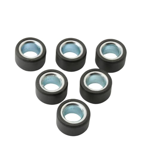 Galets de variateur 20x12mm 12g pour une accélération fluide Cygnus R