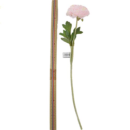 Amazon.co.jp: asca ラナンキュラス A-31841 ライトピンク: ホーム