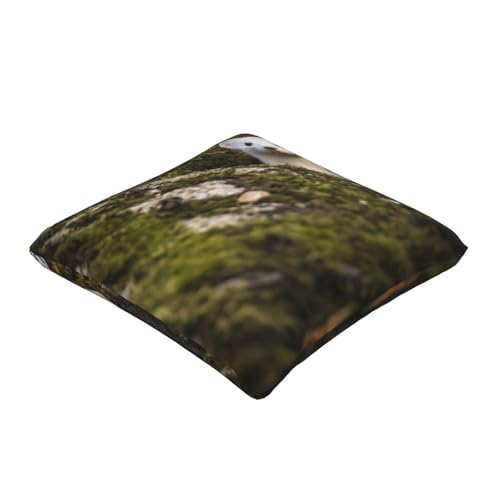 Housse de coussin belette EdWal lot de 2 pour canapé