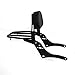 Soporte desmontable para respaldo de asiento de pasajero para Honda CMX 500/300...