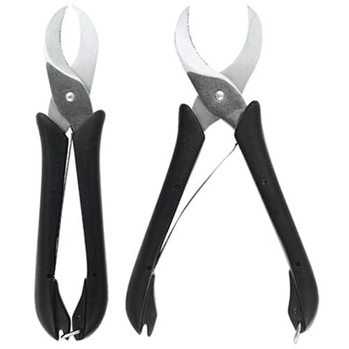 Articolatore Odontoiatrico, Kit Dentale, Valsax Basette Basix, Sviluppo Basette 12PZ
