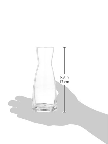 BORMIOLI ROCCO 'Ypsilon' Carafe (0.5L) – Glass Water Jar/Wine