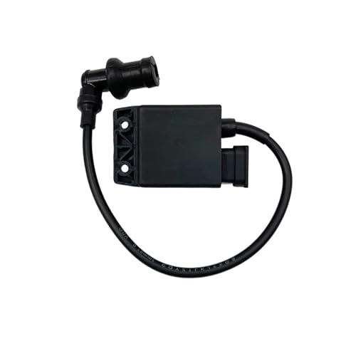 �I�[�g�o�C�pCdi�{�b�N�X�_�Α��u Compatible With Piaggio For Liberty 50 4T Delivery 2006 For Fly 50 4T 2008-2011 �I�[�g�o�C�pCDI�_�΃{�b�N�X�B