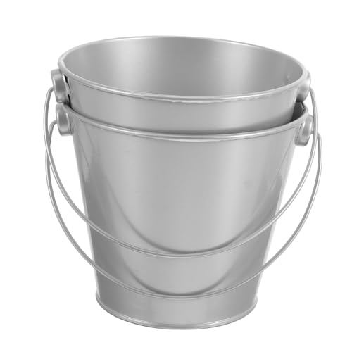 Yardenfun 2pièces Pot De Fleurs Fer avec Poignée pour Balcon Jardin Intérieur Extérieur Pot De Fleurs Rétro Organisateur De Plantes