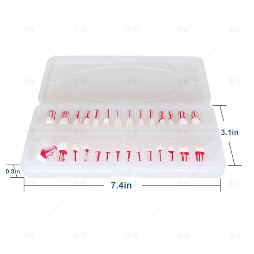 Image of 28PCS Dental RCT Root Canal Practice Model | Full-Mouth Typodont Kit | Each Tooth Position Drill for Dental Students & Training Facilities