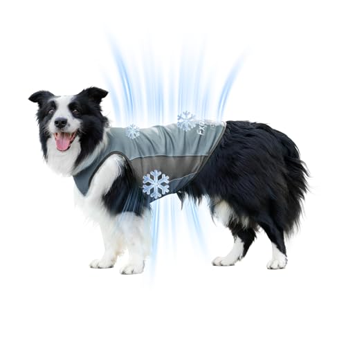 ExploreU Dog Shirt