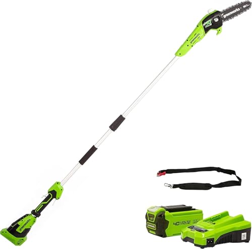 Greenworks G40PSFK2 Sega ad Asta a Batteria, Lunghezza Barra 8 Pollice (20cm), Velocità Catena...