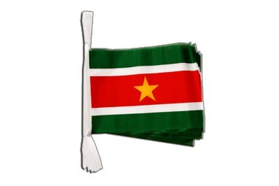 Guirlande drapeau Suriname pour célébration culturelle Digni