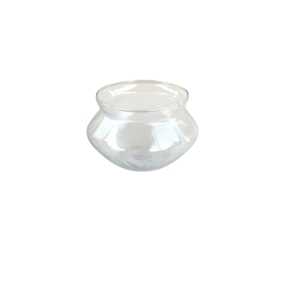 Desi Gardener Transparent 4 inch Handi Glass Bowl Pot Container for Two Layers Lucky Bamboo Plants & Flowers for Home Office Garden Living Bedroom Balcony Decoration (B0DF5RKR7L) Amazon Price History, Amazon Price Tracker
