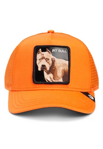 Casquette de camionneur Goorin Bros The Dog Pitbull orange taille unique