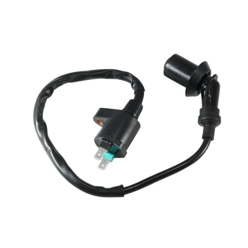 Bobine d'allumage 220 AEO-30510205-000 pour la réparation de moteur