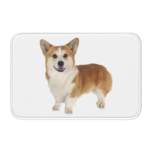 玄関マット 可愛い コーギー バスマット 室内 屋外 足拭きマット カーペット おしゃれ 北欧 滑り止め付き 洗える ベットルーム 浴室 台所 寝室 業務用 家庭用 40×60cm