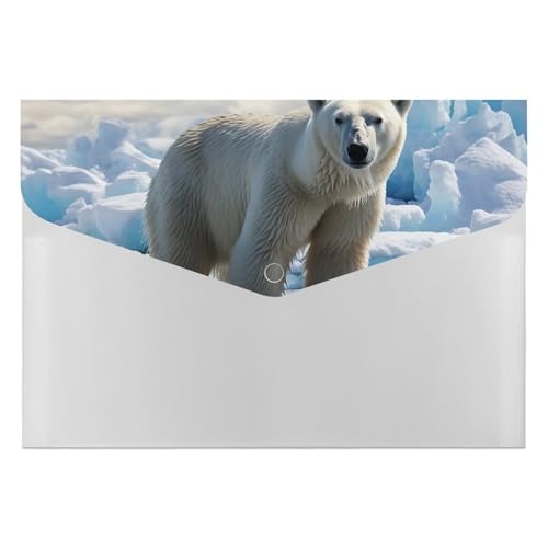 Porte-documents à glace durable Polar Bear à 6 compartiments pour protéger vos dossiers et CV