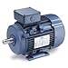 Leeson Electric Leeson Motors Motor IEC Metric Motor-25HP, 230/460V, 1775/1470RPM, IP55, B3, 1.15 SF, 92.4 Eff.