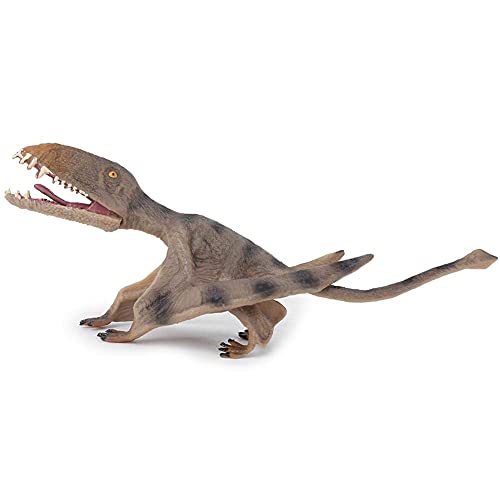 Simulazione Pterosaur Modello Giocattolo per
