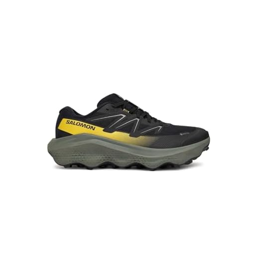 Salomon Ultra Flow 2 GTX L47883200, Men Running Shoes, Black, 43 1/3 EU