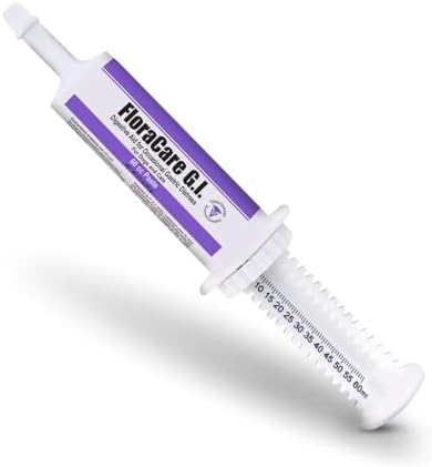 FloraCare G.I. for Dogs & Cats – Dietary Supplement Paste – Healthy Intestinal Tract, Digestion, Bowel Health – Vitamin, Protein, Fat, Fiber – 60 CC,RAPIDCARE60CC