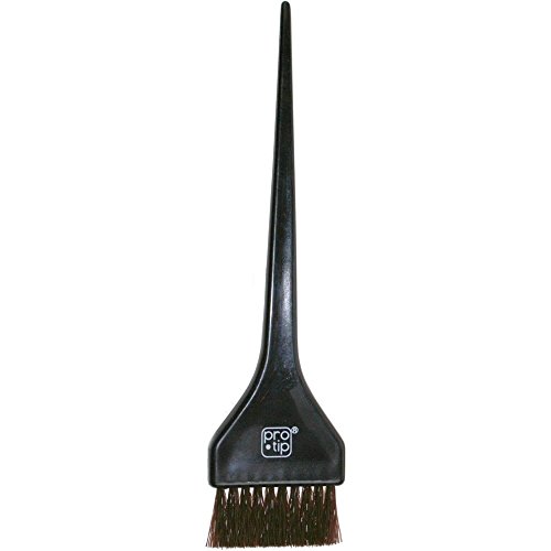 Pro-Tip Tinting Hairbrush, Black,Small