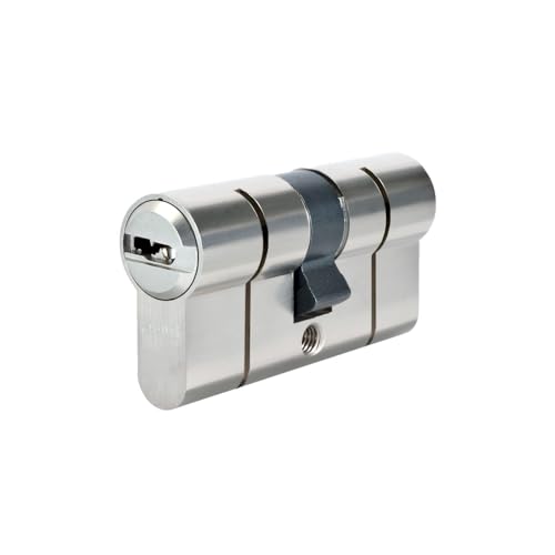 Cylindre ABUS P6PS 30x30 barillet de sécurité en laiton nickelé