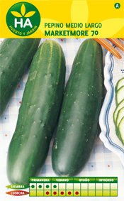 SEMILLAS PEPINO MARKETMORE MEDIO SOBRE