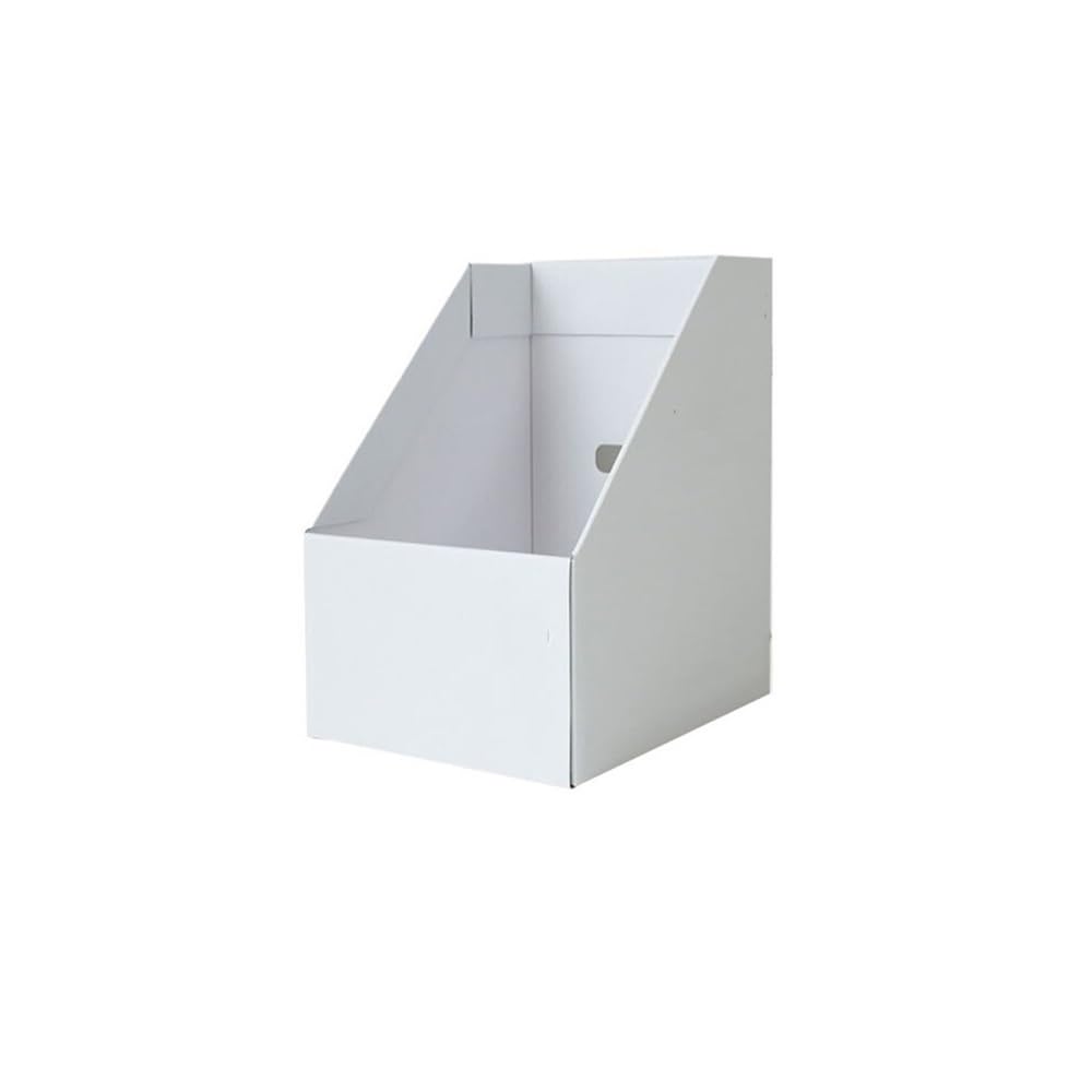 J9V4G6S3B5 Desktop File Rack Magazine File Holder for Files for Paper Literature Documents(White)