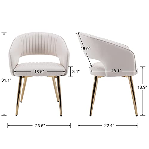 Quinjay Modern Dining Chairs Set Of 8, Upholstered Pu Leather Gold Dining Chairs With Hollow Back, Dining Room Chairs With Gold Legs, Accent Armrest Chairs Kitchen Chairs For Living Room Cream #TOP2