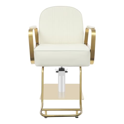 Chaise de coiffeur réglable avec pompe hydraulique 360°