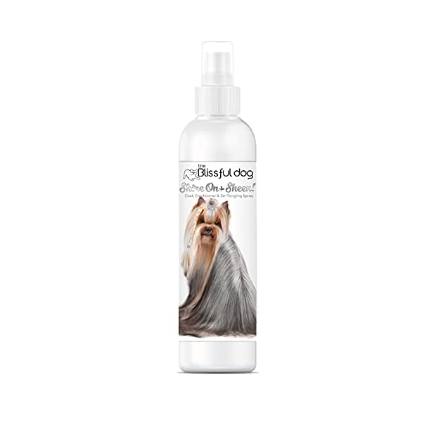 The Blissful Dog Shine-On + Sheen Coat Spray, All Natural, Leave-in Conditioner and Coat Detangler for Your Dog, 8 Oz