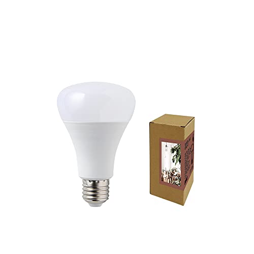 003381 PLANTS LIGHT 40 COOL A琬Cg LEDCg ϗtA vcCg E26