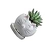 Generic Leuke Kat Keramische Sappig Planter Potten Met Planten Container Base Desktop Bloempot Cactus Planter Schattig