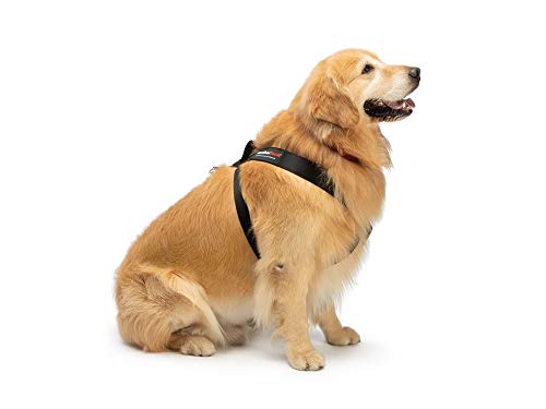 WeatherTech Pet Safety Harness - Keeps Your pet Safe and Secure While on-The-go - Large Black (84PH3134BK) - image 4