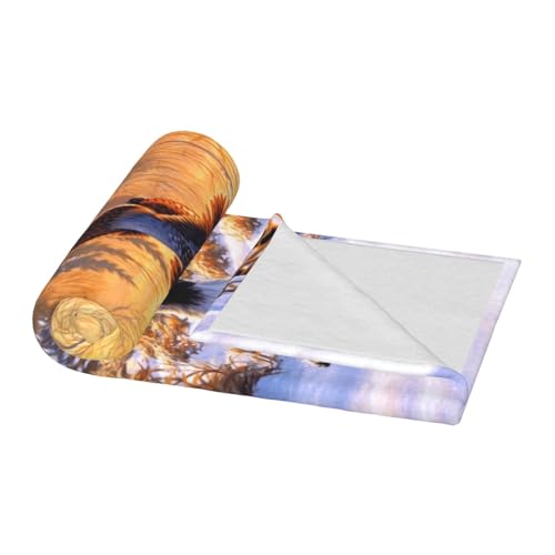 Couverture flanelle douce chien faisan : finissez-en avec les plaids fins qui prennent froid