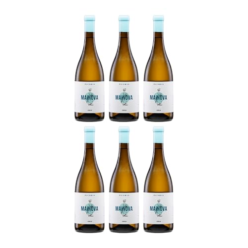 Mainova Verdelho Weisswein Weiss Trocken BIO VEGAN Portugal inkl. FeinWert E-Book (6 x 0.75 l)