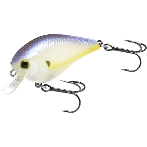 LUCKY CRAFT Fat CB BDS1, Fishing Lure, Crankbait (250 Chartreuse Shad)