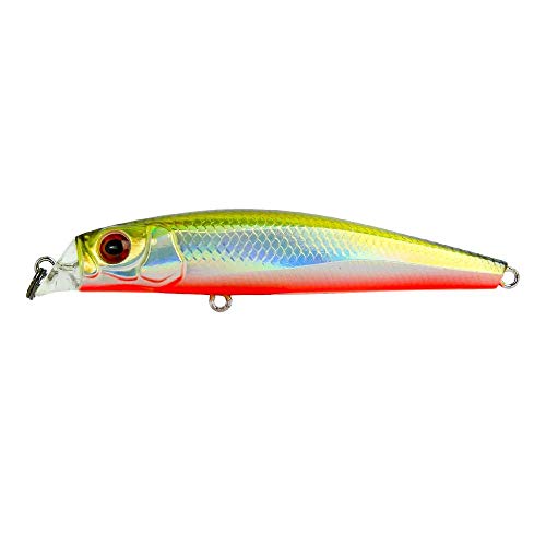 ISCA MARINE SPORTS REI DO RIO 95