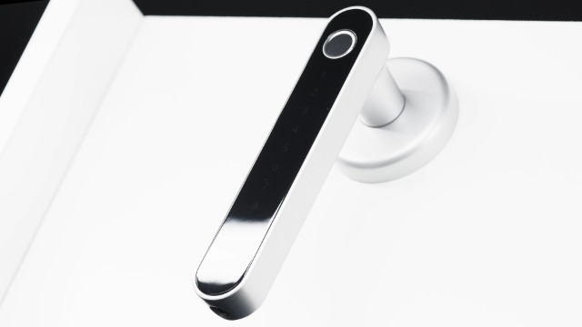 IRONZON Fingerprint Door Lock Door Knob with Keypad Keyless Entry Door Lock with Handle for Home Hotel Apartment Bedroom