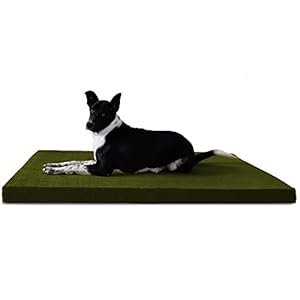 PRAZUCHI Memory Foam Orthopedic Waterproof Dog Bed - (M/L/XL/XXL) for All Breeds - 18 Colors