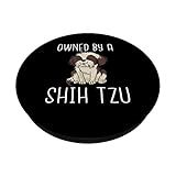 Zoom IMG-1 di propriet uno shih tzu Zoom IMG-1 di propriet uno shih tzu