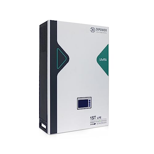 DIPOWER Batería LiFePO4 51.2V 100Ah, Batería de Litio Recargable de 5120Wh, Batería con...