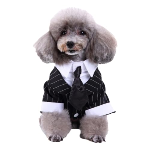 JUNENTER �`�F�b�N�� ���p �^�L�V�[�h �R�X�v�� �� �y�b�g �E�F�f�B���O �ߑ� �q�� �N���X�}�X �p�[�e�B�[ �t�H�[�}�� �R�X�`���[�� �A�p���� (S)