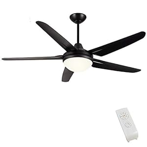 CJOY Ceiling Fan with Lights for Living Room, 53 Inch Modern Ceiling Fan with 5 Reversible Blades, 3000K, Remote Controls, Black