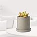 MoonLa 4-Inch Gray Unglazed Cement Succulent Planter Pots Concrete Cactus Planter Mini Plant Pot Flower Pots with Drainage Hole and Removable Saucer, Set of 2