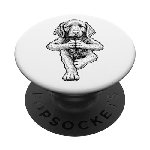 I cuccioli di cane portano armonia. Tranquillo cane Setter irlandese cane razza yoga cucciolo meditare in yoga albero vrikshasana posa design.